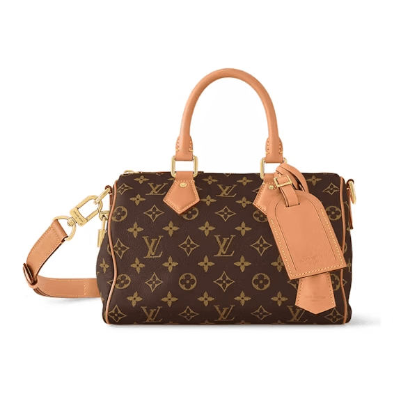 Louis Vuitton Speedy P9 Bandoulière 25 - Image 1